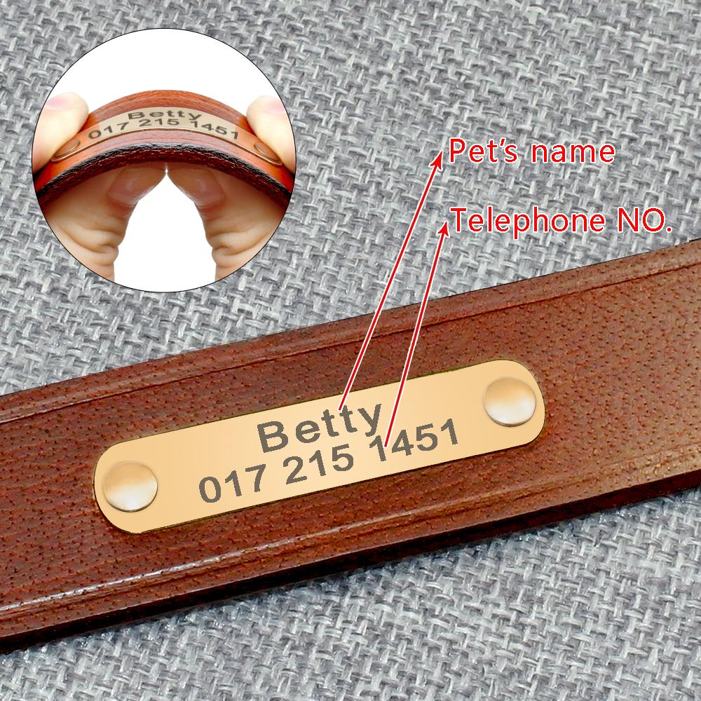 Custom Leather Dog Collar with Engraved ID Tag – Premium & Personal