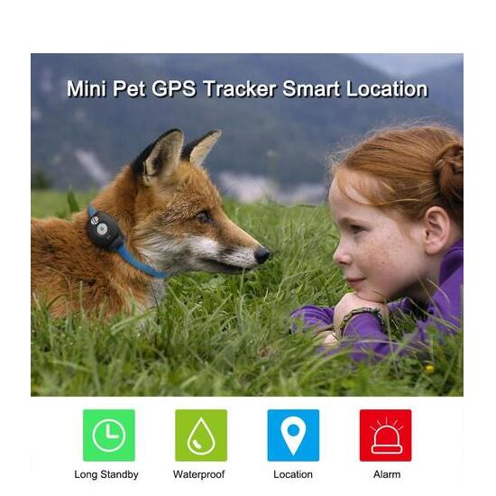 GPS Tracker Collar for Pets – Always Know Where They Are