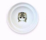 Elevated Cat Bowl Stand – Better Posture, Happier Mealtimes